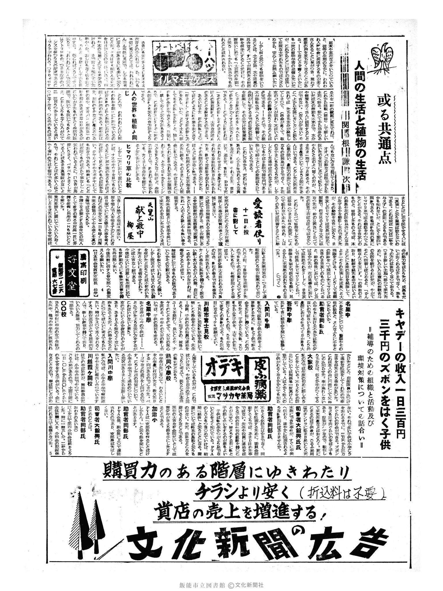 昭和33年9月25日3面 (第3032号) 